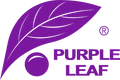 PURPLE LEAF